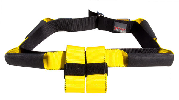 Doty Belt Pro Regular Back